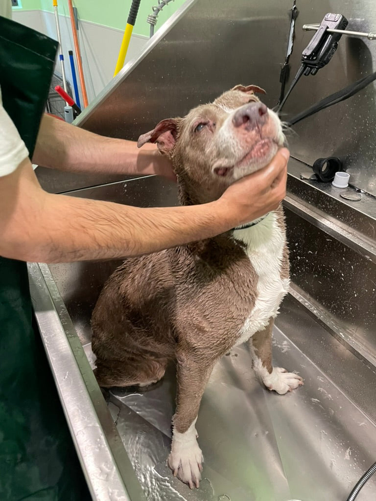 Bathing