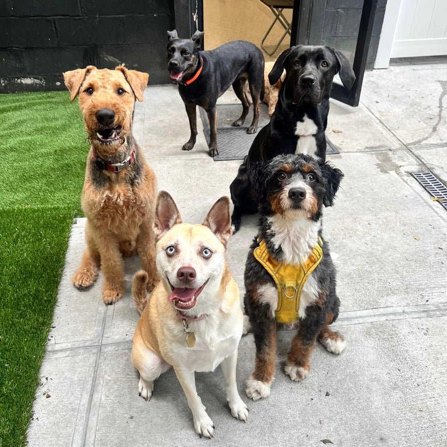 Daycare