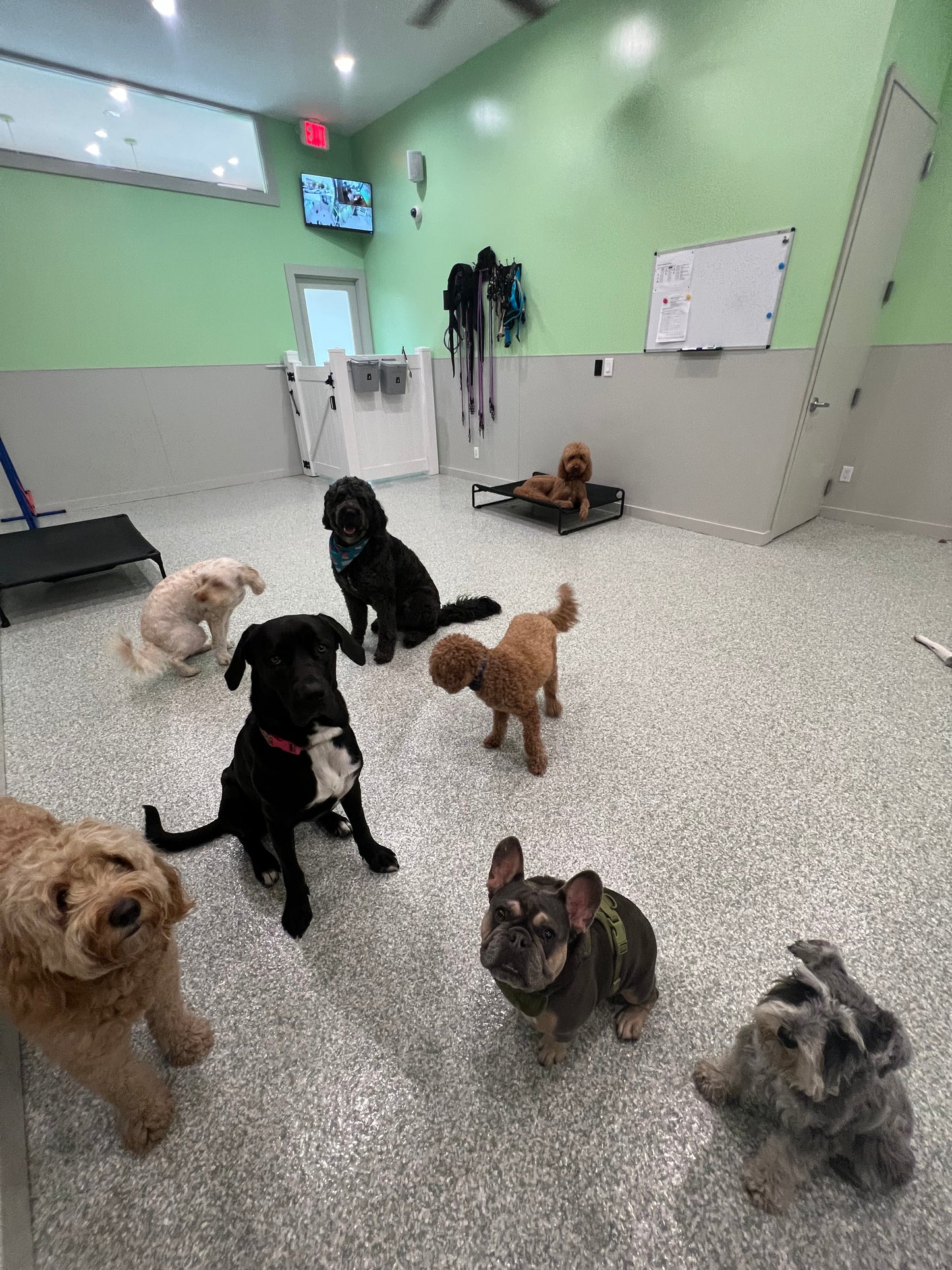 Daycare