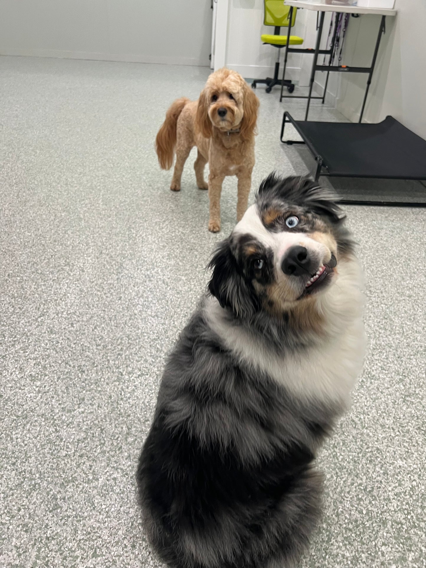 Daycare