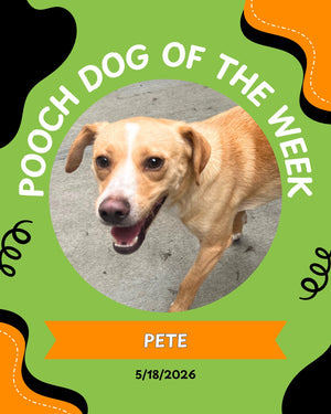 Pooch of the week