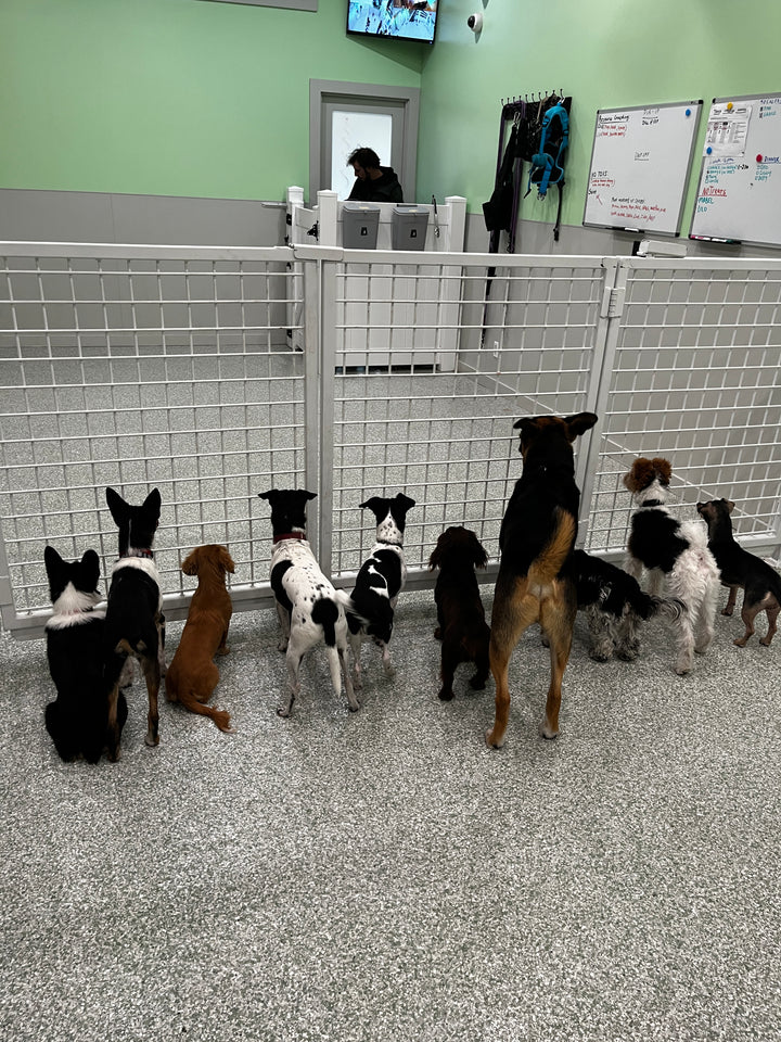 Day Care
