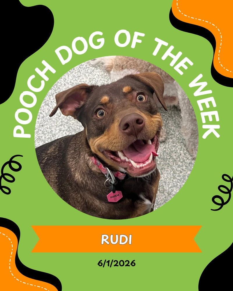 Pooch of the week