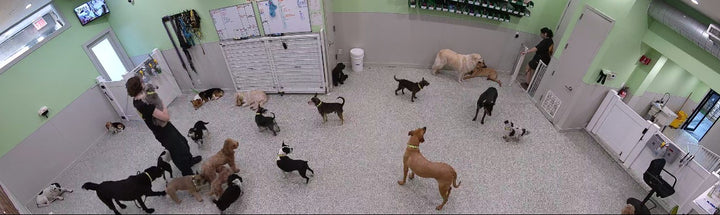 Day Care