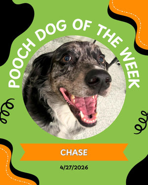Pooch of the week