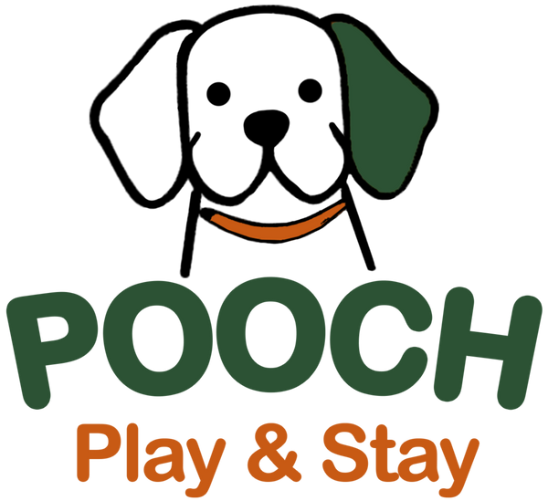 Pooch Play and Stay