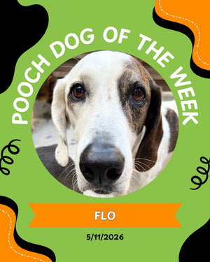 Pooch of the week