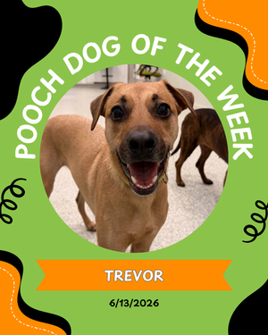 Pooch of the week